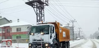 Van'da Kar Yağışı Ulaşımı Olumsuz Etkiledi