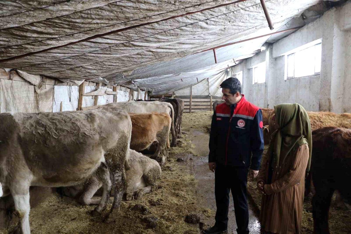 İzmir'den Ağrı'ya Dönüş: Suzan Aydın'ın Genç Çiftçi Başarısı