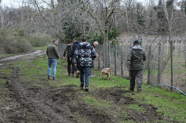 The bear that escaped from the shelter has not been caught for 30 hours