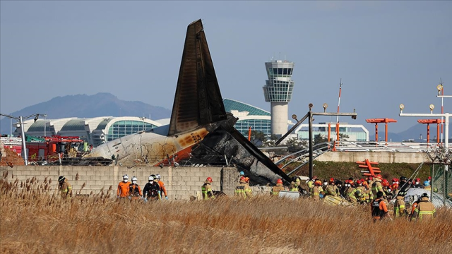 Bird feathers and blood traces were found in the plane crash in South Korea