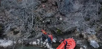 Tunceli'de Hasta Yaban Keçisi Kurtarıldı