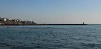 Tekirdağ'da Poyrazın Etkisi Geçti, Deniz Ulaşımı ve Balıkçılık Normale Döndü