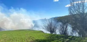 Adana'nın Aladağ İlçesinde Orman Yangını