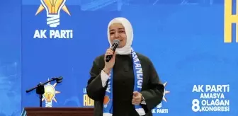 AK Parti'li Kaya, partisinin Amasya İl Kongresi'nde konuştu Açıklaması