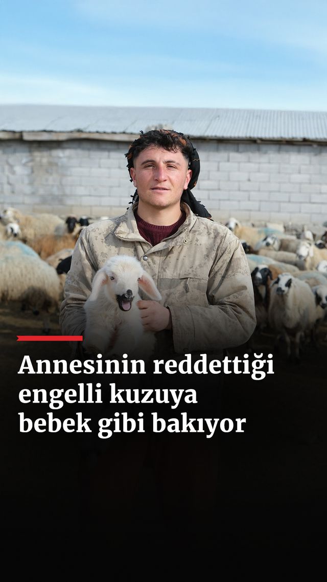 https://foto.haberler.com/haber/2025/01/18/annesinin-reddettigi-engelli-kuzuya-bebek-gibi-bakiyor_8125_o.jpg