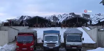 Erzurum Oltu Canlı Hayvan Pazarı Yeniden Açıldı