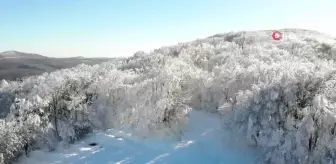 Kırklareli'de Büyüleyici Kar Manzaraları Dronla Görüntülendi