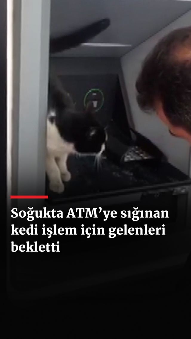 https://foto.haberler.com/haber/2025/01/18/sogukta-atmye-siginan-kedi-islem-icin-gelenleri-bekletti_2414_o.jpg