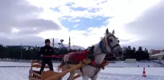 Erzurum'da Geleneksel Atlı Kızak Yarışları Heyecan Dolu Anlara Sahne Oldu