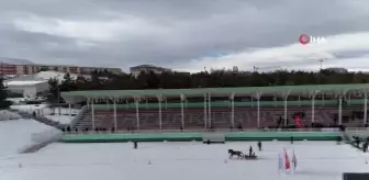 Erzurum'da Geleneksel Atlı Kızak Şöleni Coşkuyla Gerçekleştirildi