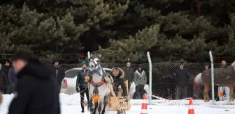 Erzurum'da Geleneksel Atlı Kızak Yarışları Coşkuyla Gerçekleşti