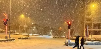 Erzurum'da Kar Yağışı Hayatı Olumsuz Etkiledi