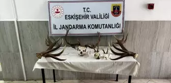 Eskişehir'de Jandarma Operasyonu: 16 Bin Paket Kaçak Sigara Ele Geçirildi