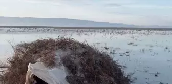 Ereğli'de Yasa Dışı Avcılara 134 Bin Lira Ceza