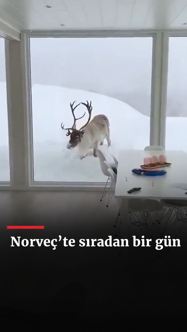 https://foto.haberler.com/haber/2025/01/19/norvecte-siradan-bir-gun_6208_o.jpg