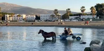 Hatay'da At Arabasıyla Denize Giren İki Arkadaşın Keyfi