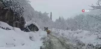 Doğu Karadeniz'de 338 Köy Yolu Kar Nedeniyle Kapandı