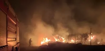 Hatay'ın Erzin İlçesinde Yangın Söndürüldü