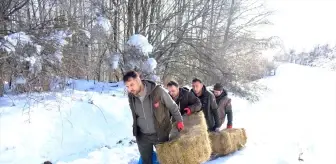 Yaban Hayvanlarına Yem Bırakıldı