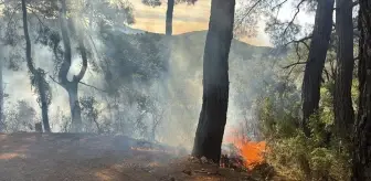 Fethiye'de Orman Yangını Hızla Kontrol Altına Alındı