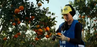 Yaş meyve ve sebze ihracat rekortmeni Altun'dan halka arz başvurusu