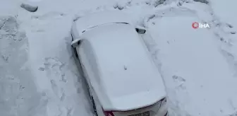 Yüksekova'da Lapa Lapa Kar Yağışı Hayatı Olumsuz Etkiliyor