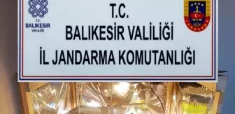 Balıkesir'de Kaçakçılık Operasyonunda 7 Zanlı Tutuklandı