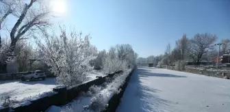 Doğu Anadolu'da Dondurucu Soğuk Hava Etkisini Sürdürüyor