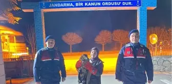 Yaralı Kızıl Şahin Eskişehir'de Tedavi Edilecek