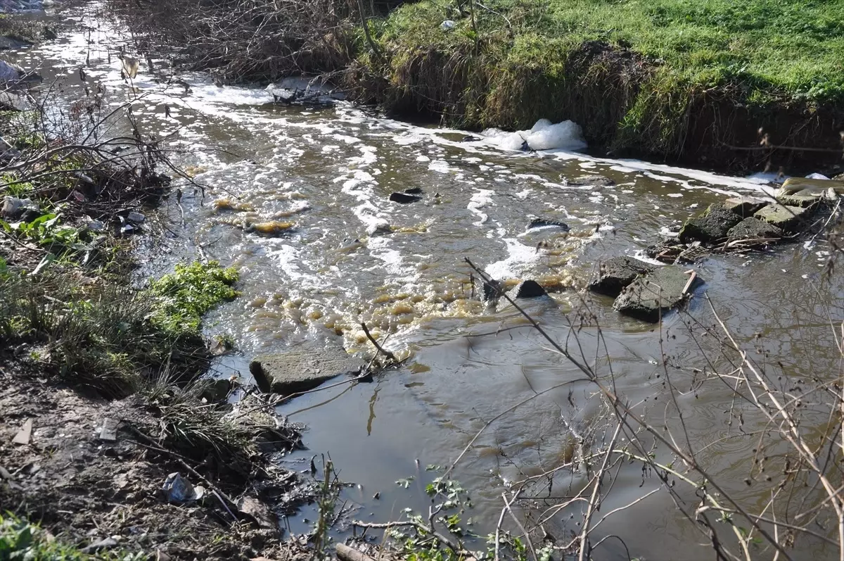 Kırklareli'nde Saranlı Deresi Kirlilik Nedeniyle Renk Değiştirdi