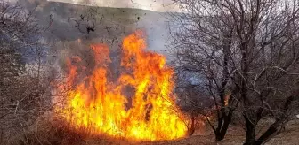 Tunceli'de Otluk Arazide Yangın Çıktı