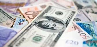 Dolar ne kadar, 1 Dolar kaç lira? Bugün (22 Ocak) Dolar ne kadar oldu?