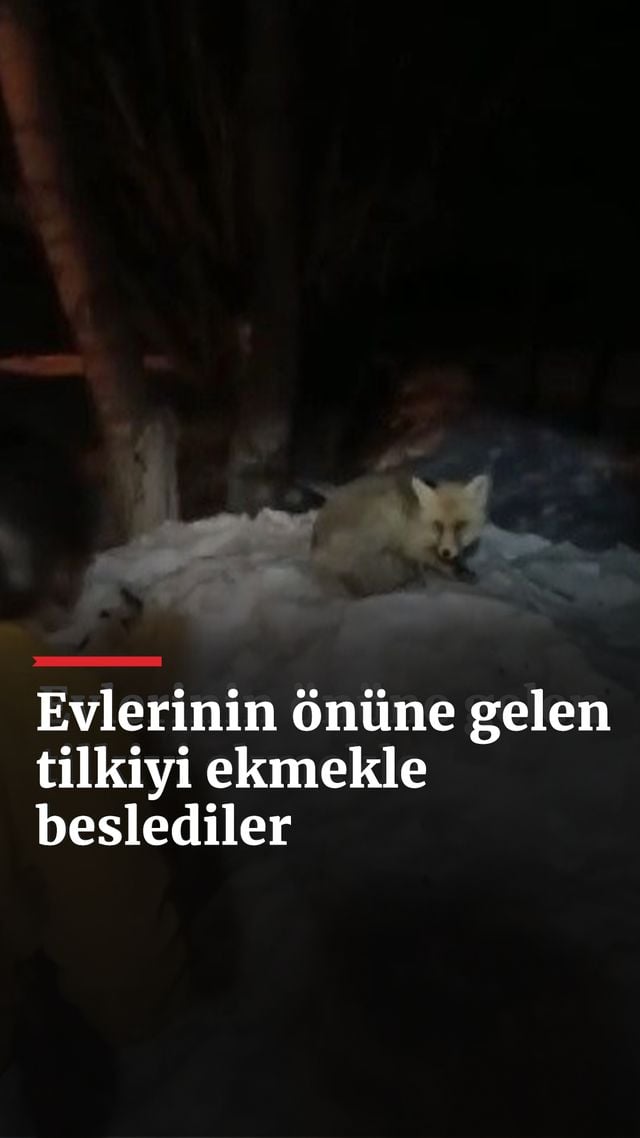 https://foto.haberler.com/haber/2025/01/22/evlerinin-onune-gelen-tilkiyi-boyle-beslediler_7517_o.jpg