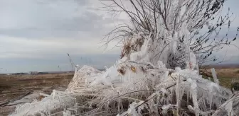 Şanlıurfa'da soğuk hava etkili oldu