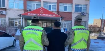 Van'da Yasa Dışı Göçmen Operasyonu: 10 Düzensiz Göçmen Yakalandı