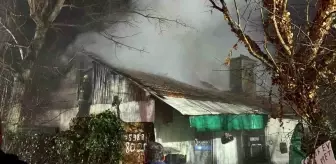 Bolu'da Yangın: Ev ve Ahır Kül Oldu, 4 Hayvan Telef Oldu