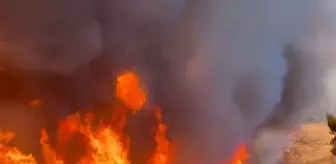 Los Angeles'ta yeniden yangın çıktı, alevler hızla yayılıyor