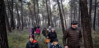 Mantar türlerini keşfetmek için ormanlarda maceraya çıkıyorlar