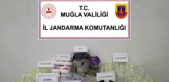 Muğla'da Hacamat ve Sülük Tedavisi Yapan Şahsa Operasyon