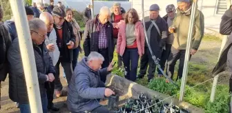 Eceabatlı Zeytin Üreticileri İnceleme Gezisi Düzenledi