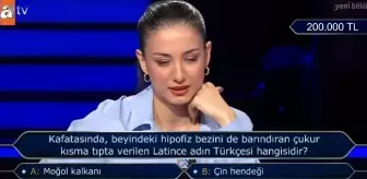 Kafatasında beyindeki hipofiz bezini de barınıran çukur kısma tıpta verilen Latince adın Türkçesi hangisidir?