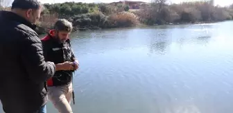 Adana'da Ceyhan Nehri'nde Balık Ölümleri İnceleniyor