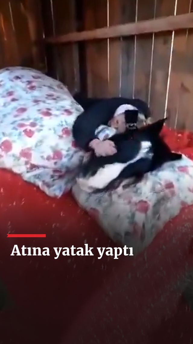 https://foto.haberler.com/haber/2025/01/27/atina-yatak-yapti_9569_o.jpg