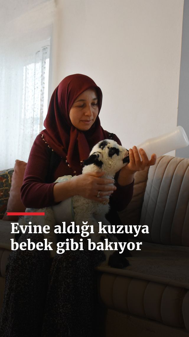 https://foto.haberler.com/haber/2025/01/27/evine-aldigi-kuzuya-bebek-gibi-bakiyor_8356_o.jpg