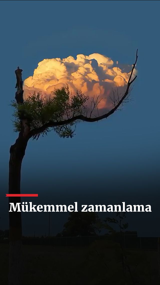 https://foto.haberler.com/haber/2025/01/27/mukemmel-zamanlama_1260_o.jpg