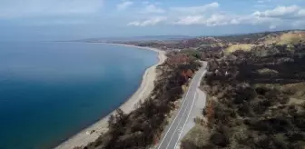 Tarihi Gelibolu Yarımadası'nda orman yangınları için 'güvenlik kuşakları' oluşturulacak