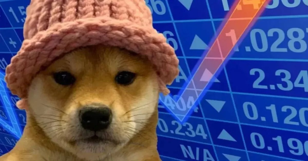 Dogwifhat (WIF) nedir, nasıl alınır?