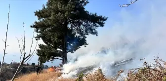 İskenderun'da Bahçe Yangını Kontrol Altına Alındı