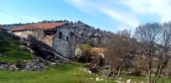 Çoban Köpeği Saldırısı Davasında Mahkeme Kararını Verdi