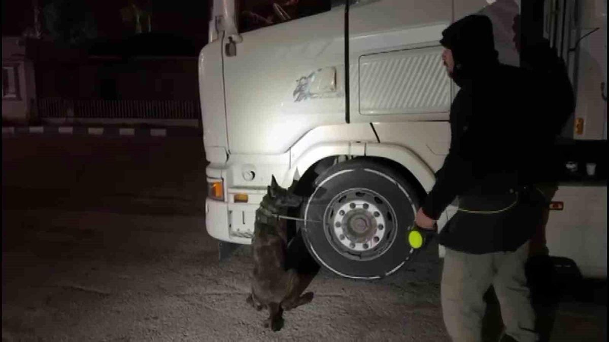 Adana'da Tırda Uyuşturucu Yakalandı: 3 Kişi Gözaltında